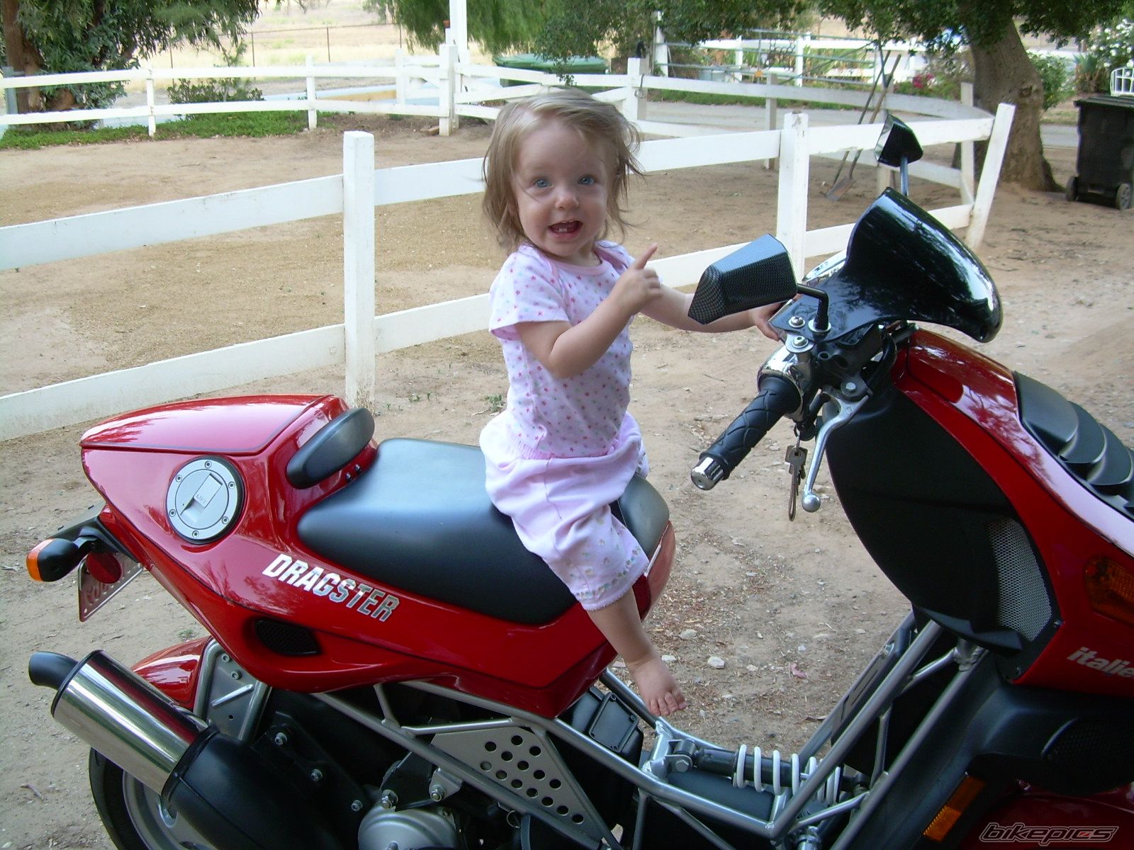 1998 ITALJET DRAGSTER 50 | Picture 1144549 motorcycle photo