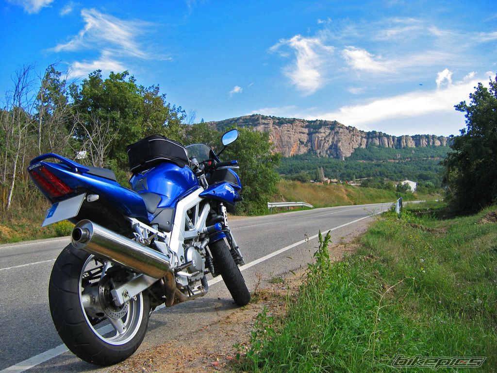 2004 SUZUKI SV 650S | Picture 1144979 motorcycle photo