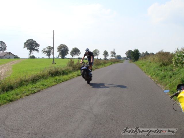 2000 HONDA BALI 50 | Picture 1145123 motorcycle photo