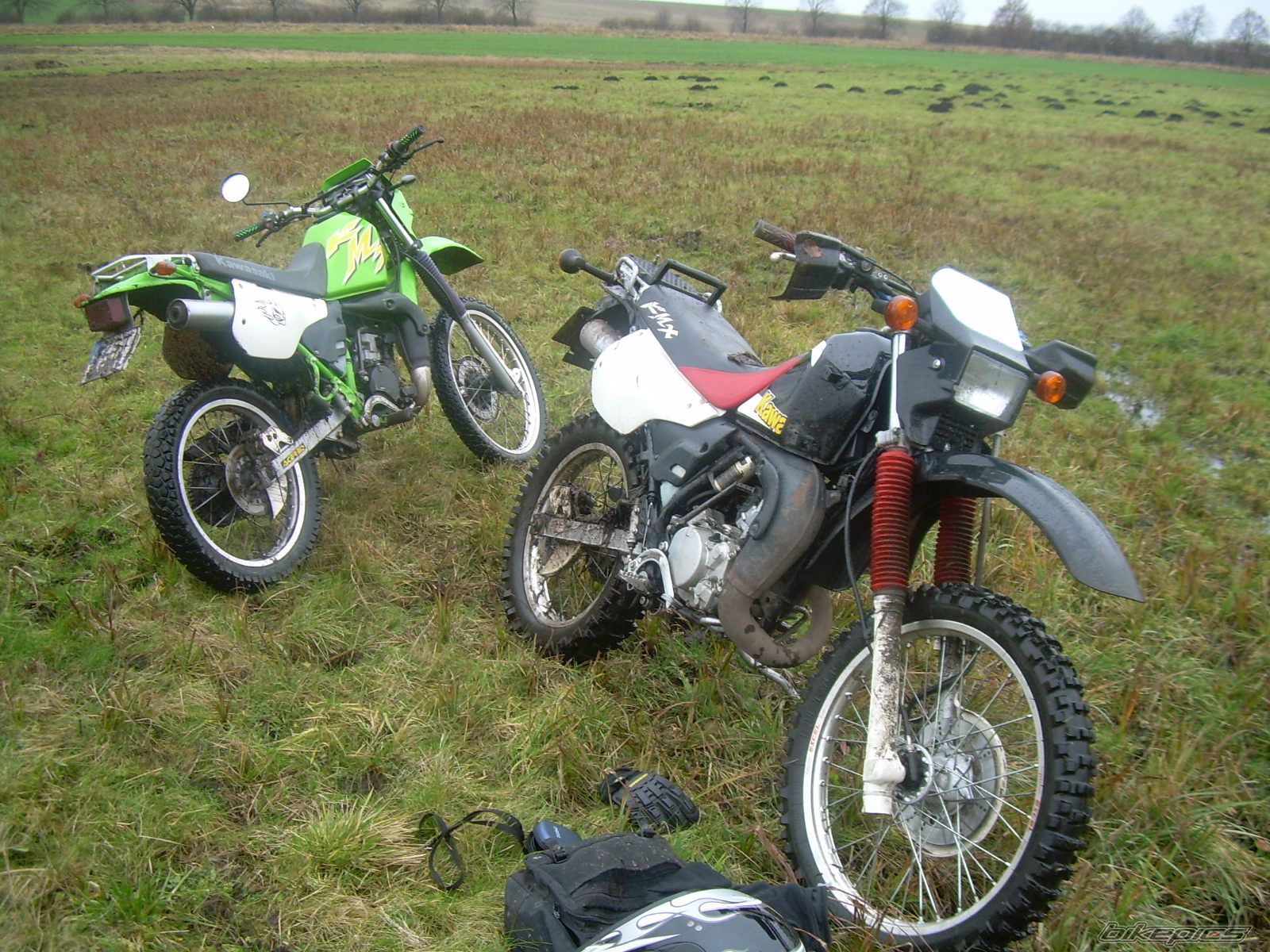 2002 KAWASAKI KMX 125 | Picture 1145648 motorcycle photo