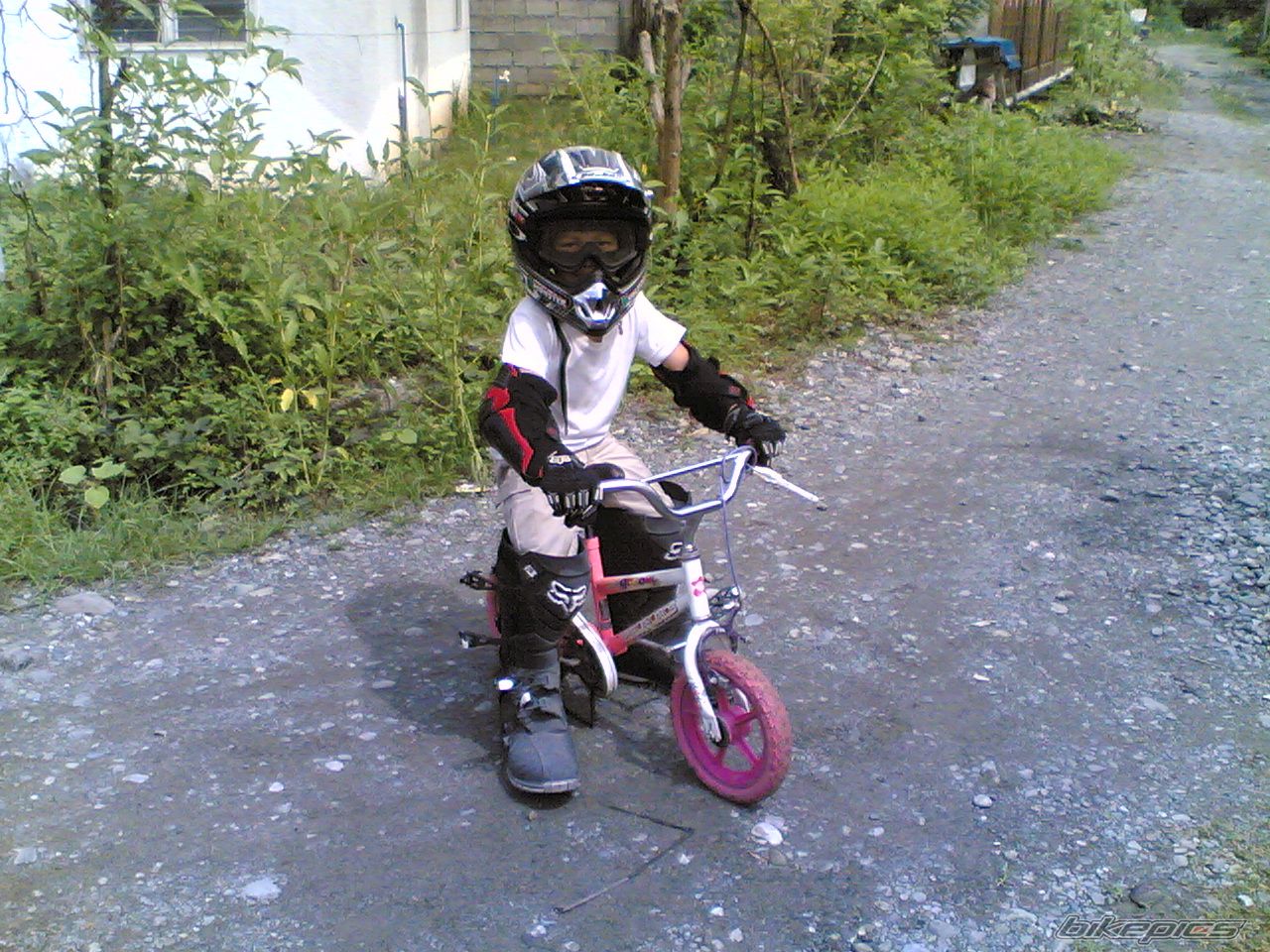 2008 HONDA XR 200 | Picture 1145860 motorcycle photo