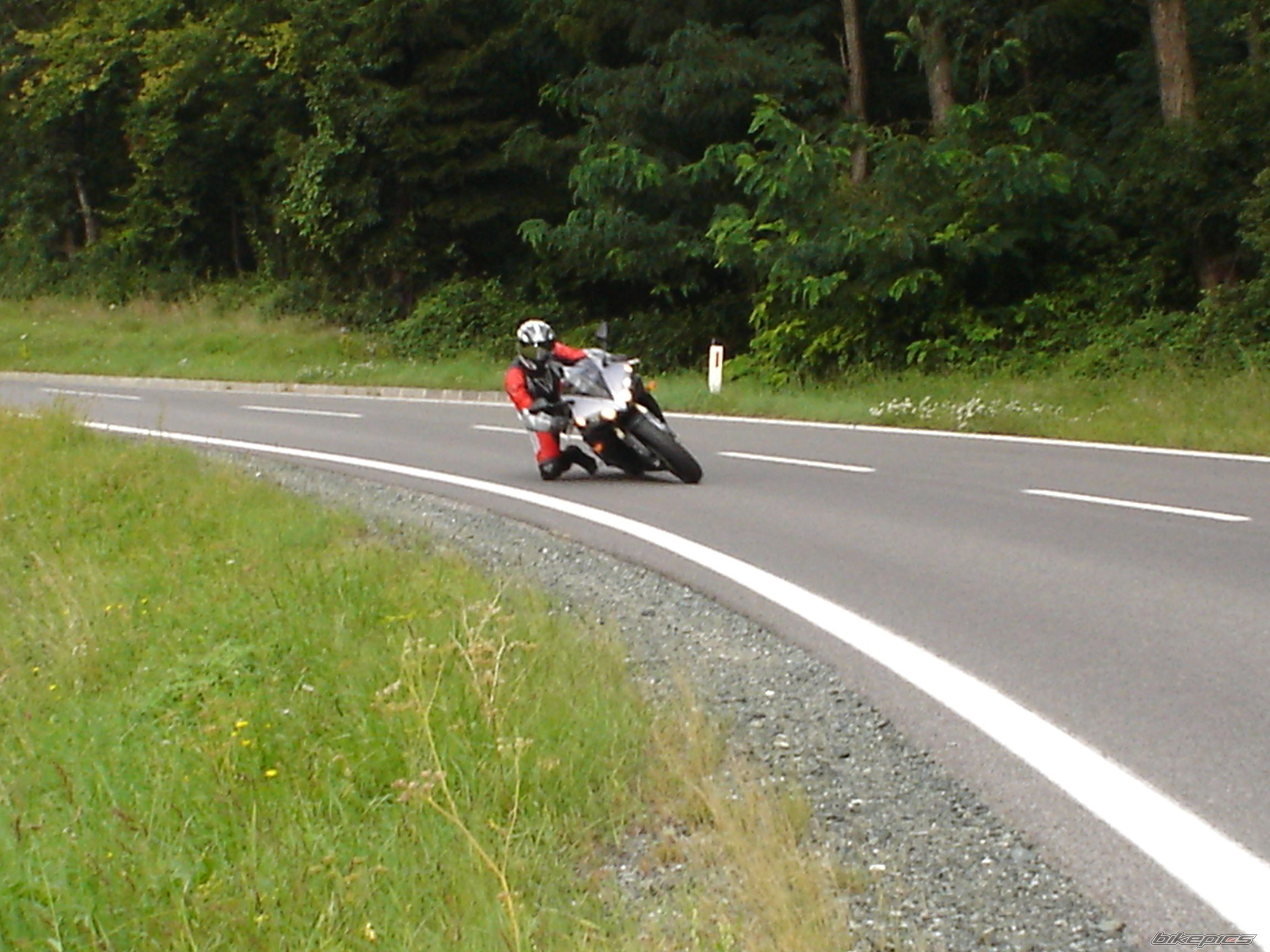 2009 YAMAHA FZ 1N | Picture 1145981 motorcycle photo