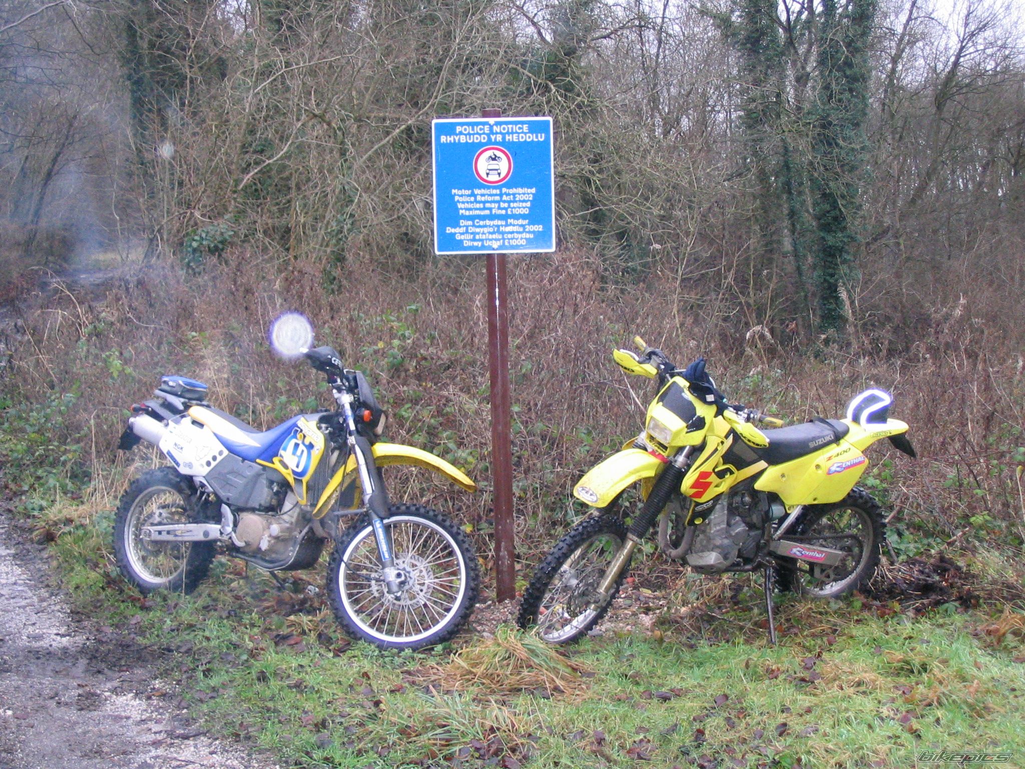 2000 HUSQVARNA TE 610 E | Picture 1146345 motorcycle photo