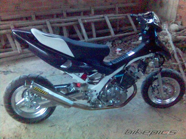 2008 GILERA RUNNER 50 | Picture 1146354 motorcycle photo