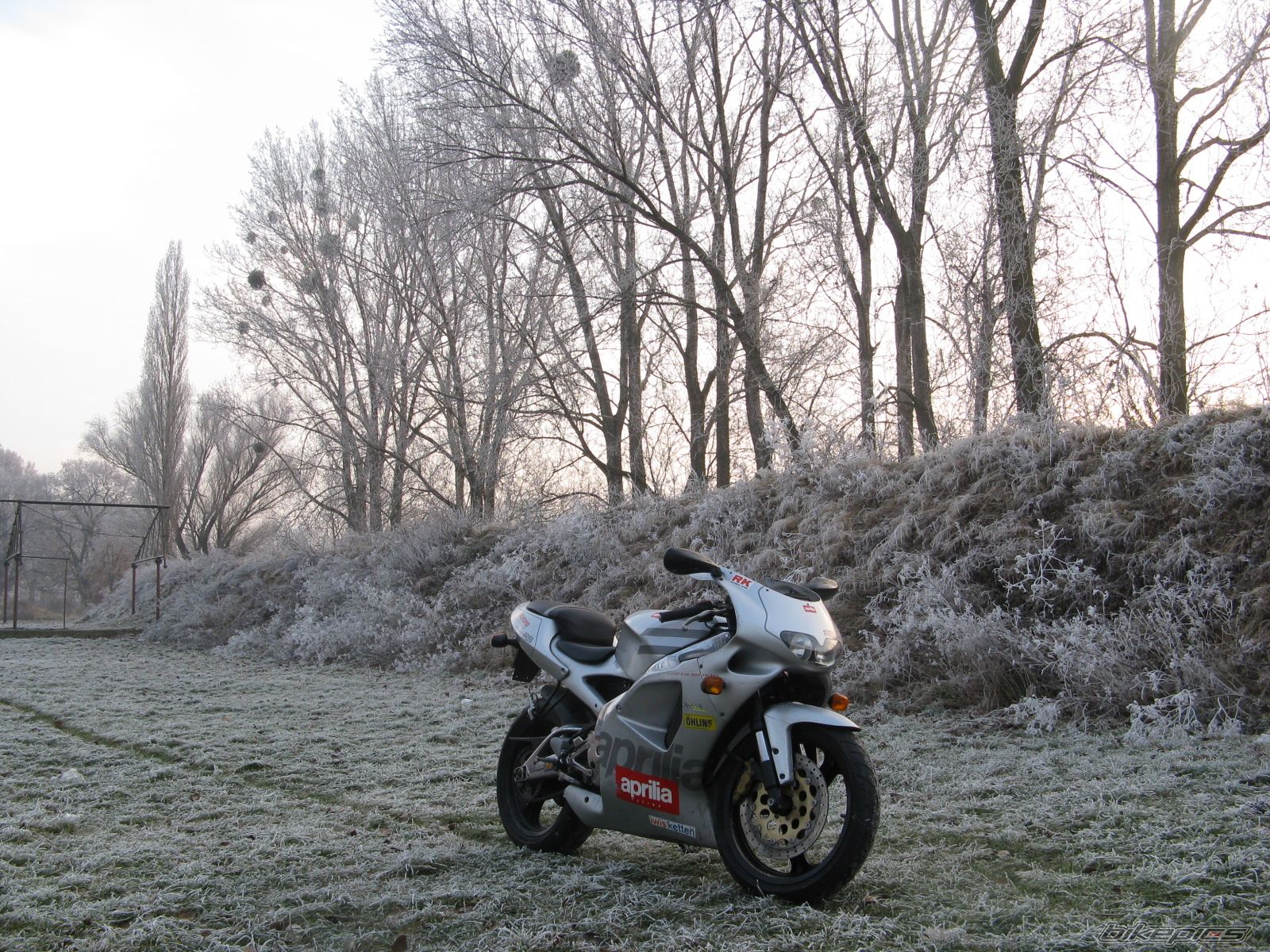1996 APRILIA RS 125 | Picture 1146500 motorcycle photo