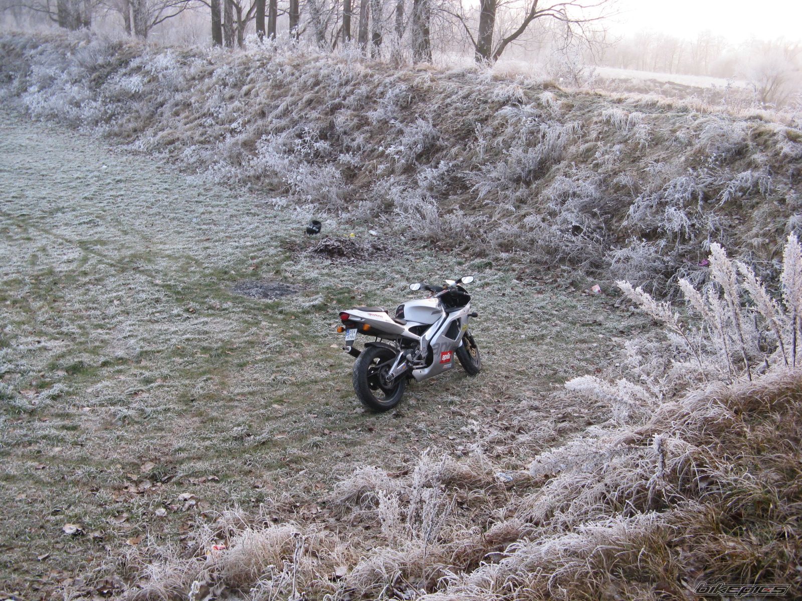 1996 APRILIA RS 125 | Picture 1146510 motorcycle photo
