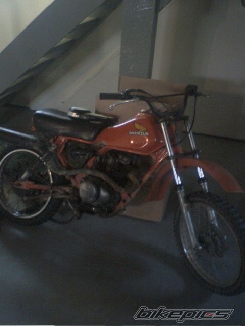 1983 HONDA XL 75 | Picture 1146520 motorcycle photo
