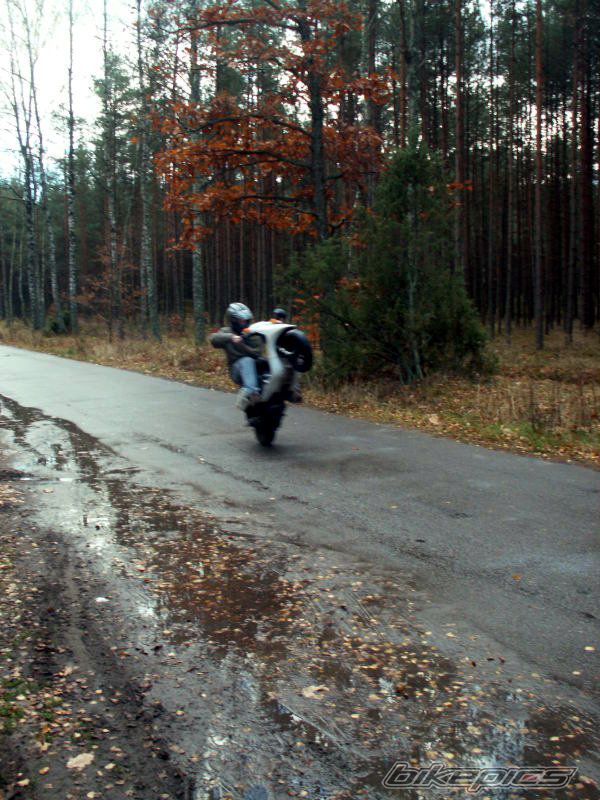 1993 PIAGGIO TYPHOON 50 | Picture 1146702 motorcycle photo