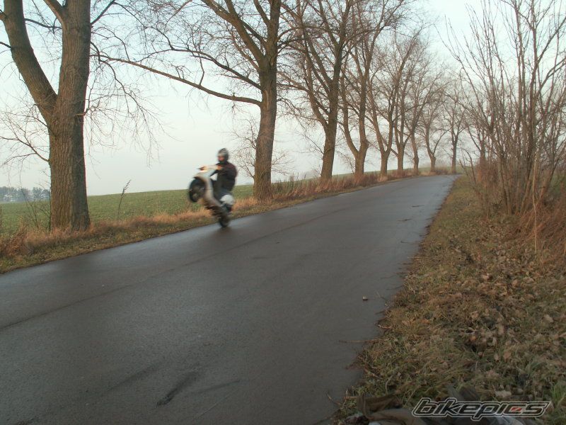1993 PIAGGIO TYPHOON 50 | Picture 1146703 motorcycle photo