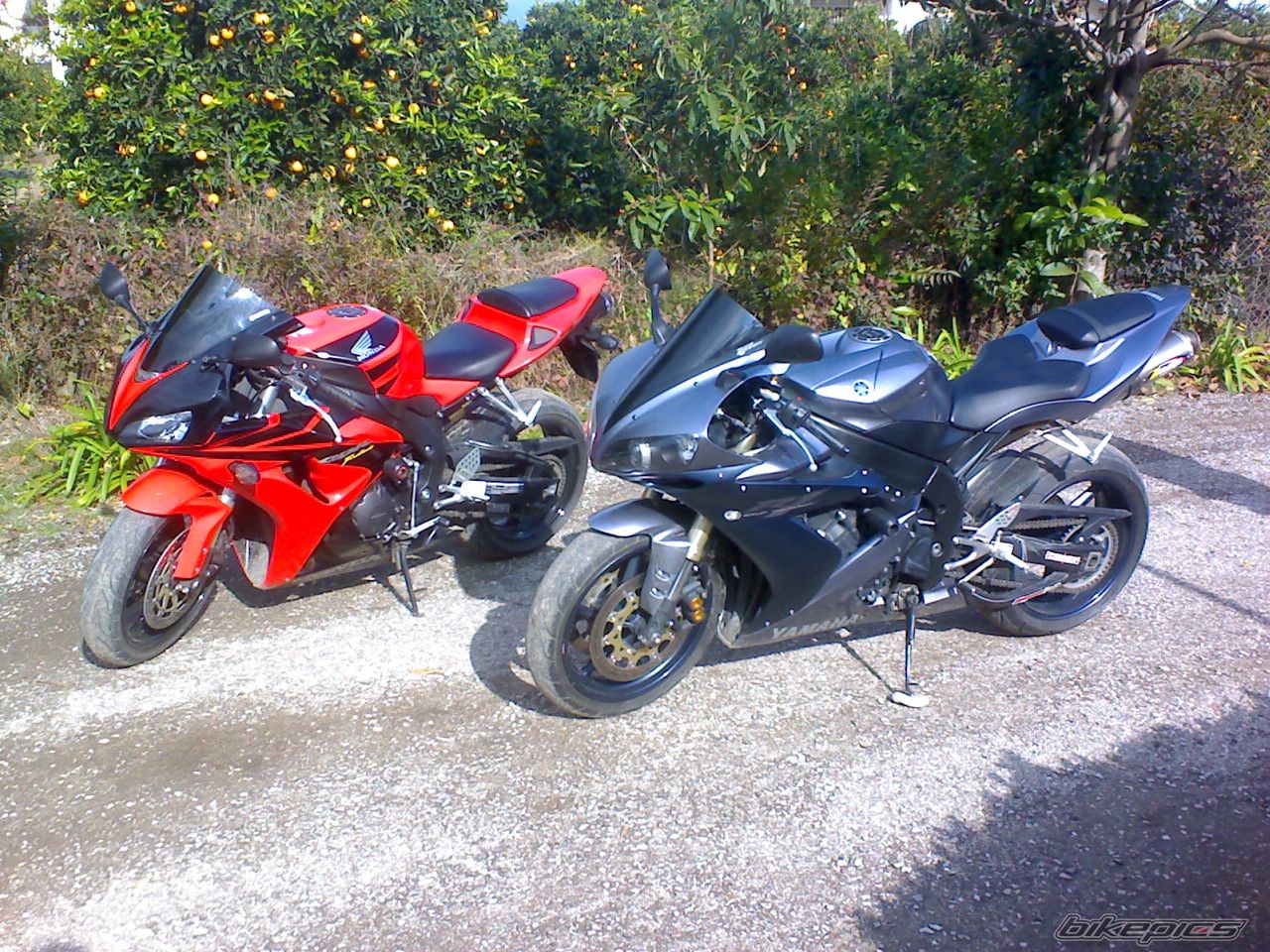 2006 YAMAHA YZF R1 | Picture 1147088 motorcycle photo