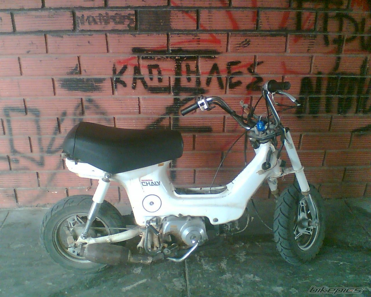 2007 HONDA DIO ZX | Picture 1147276 motorcycle photo