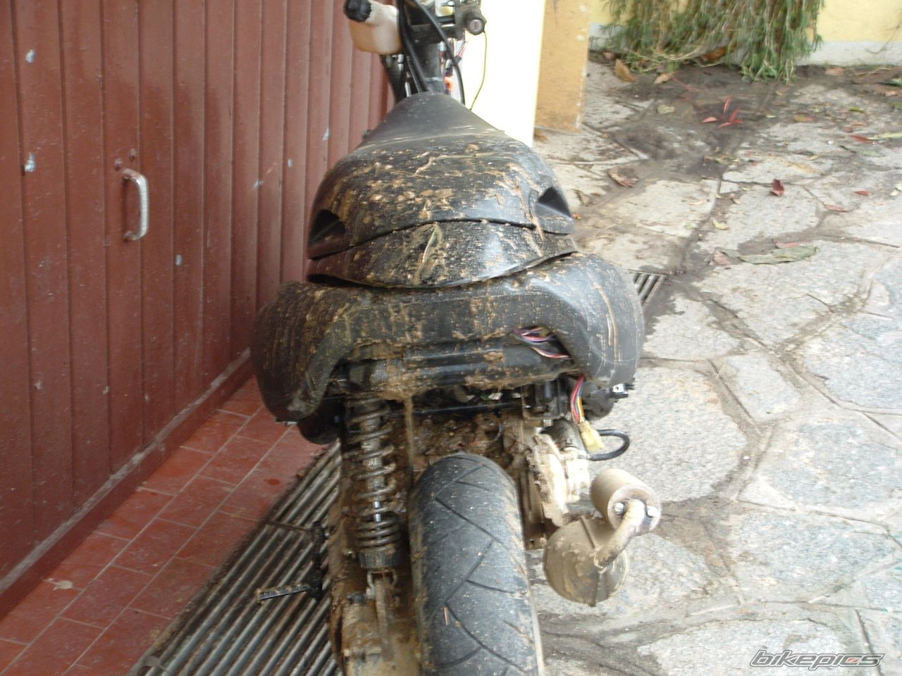 2002 BENELLI 491 | Picture 1147601 motorcycle photo