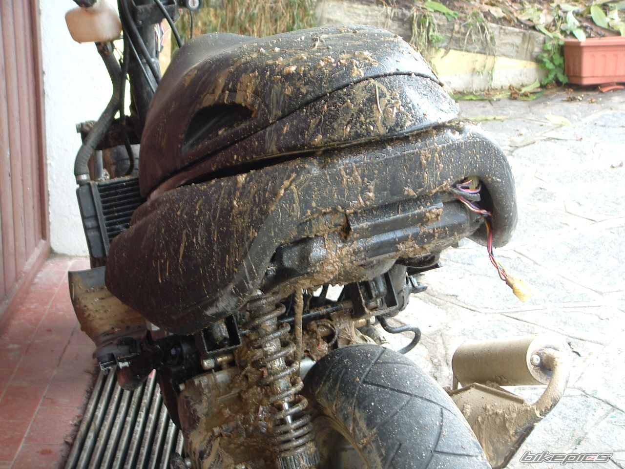 2002 BENELLI 491 | Picture 1147607 motorcycle photo