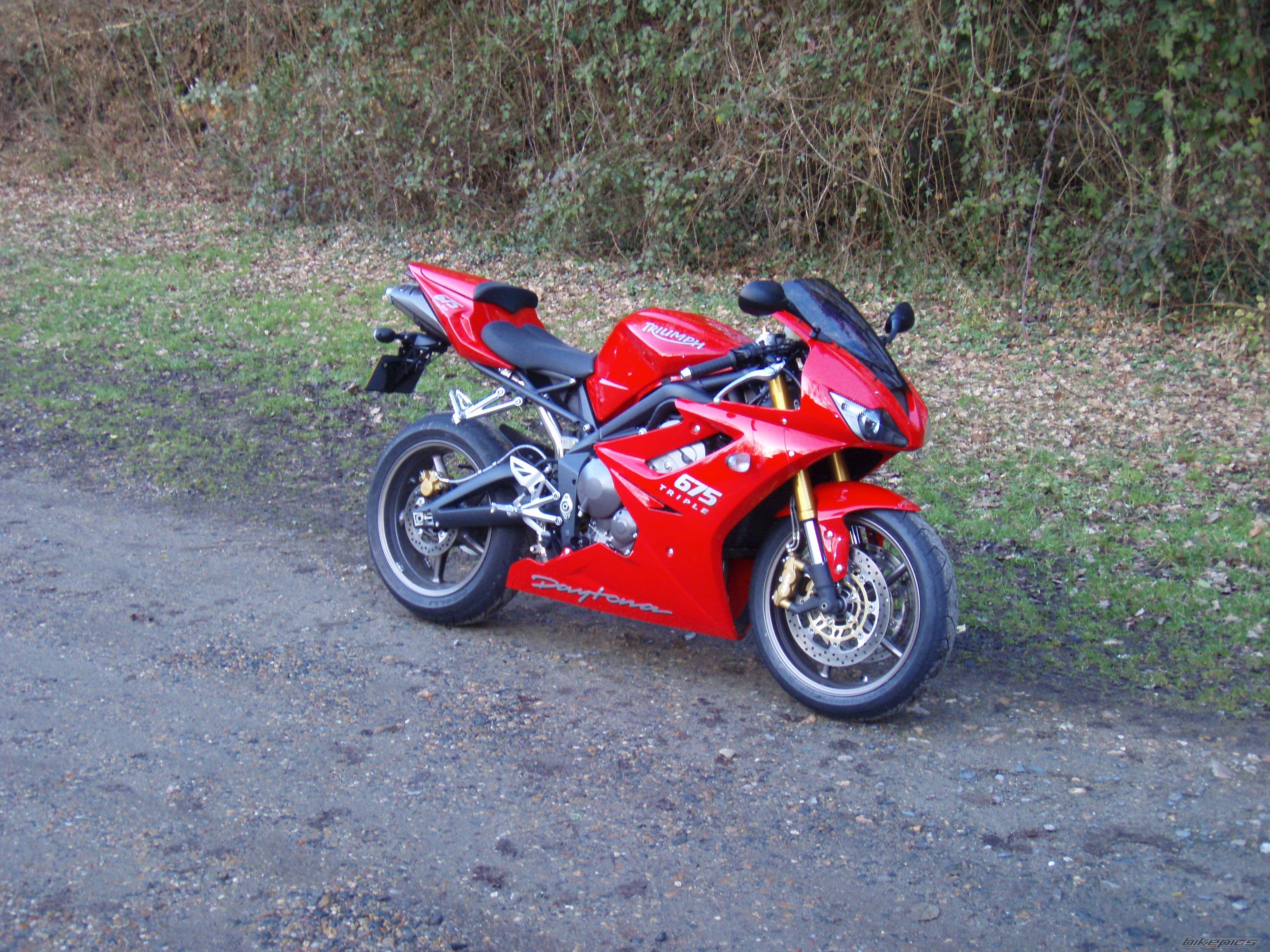 2008 TRIUMPH DAYTONA 675 | Picture 1147720 motorcycle photo