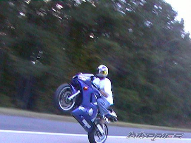 2000 YAMAHA YZF R6 | Picture 11485 motorcycle photo