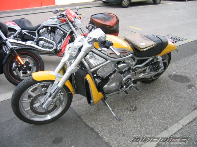2005 HARLEY DAVIDSON VRSCR STREET ROD | Picture 1148515 motorcycle photo