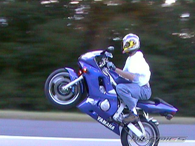 2000 YAMAHA YZF R6 | Picture 11486 motorcycle photo