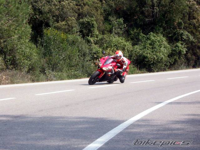 2003 YAMAHA YZF R1 | Picture 114936 motorcycle photo