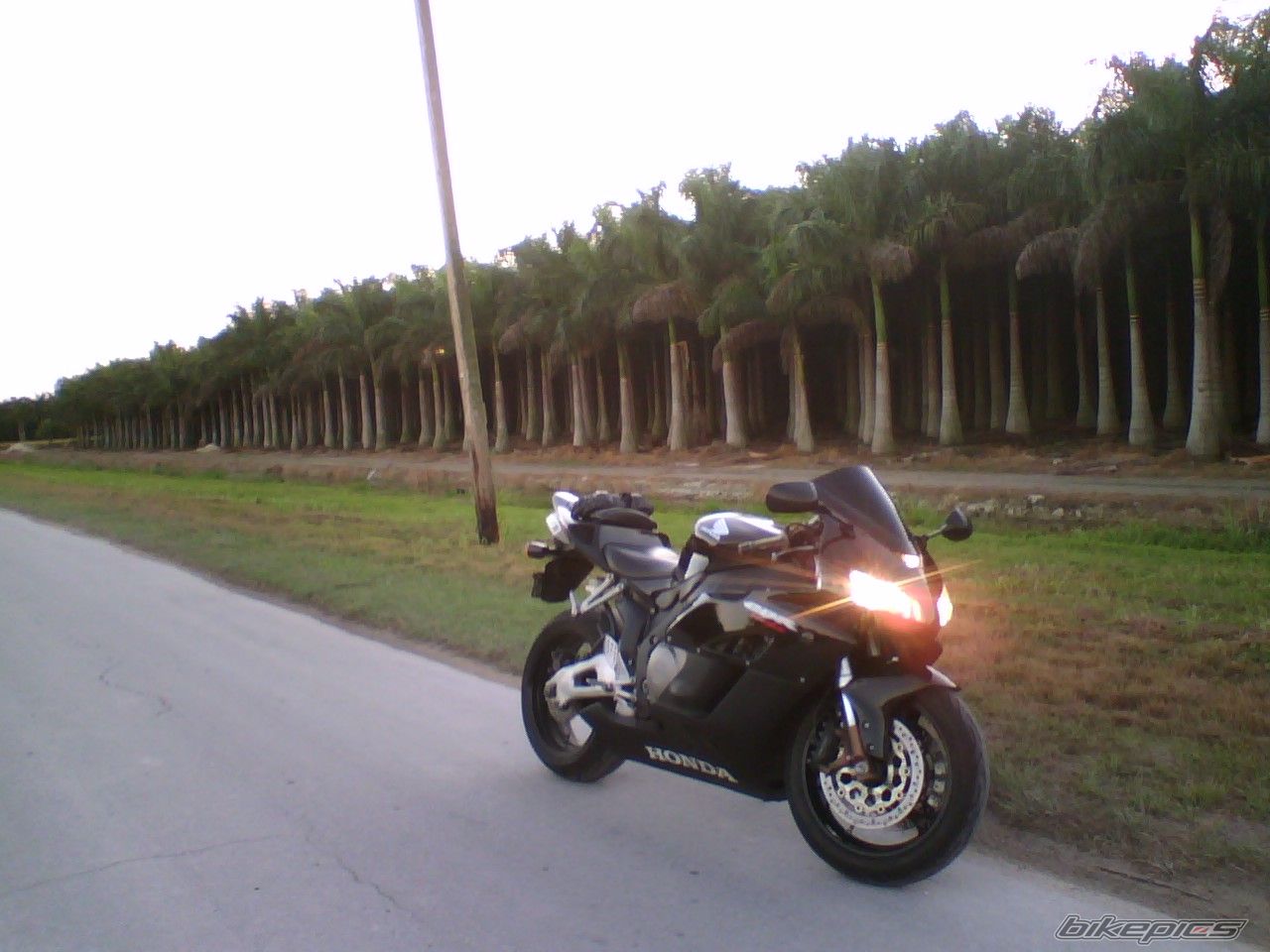 2005 HONDA CBR 1000  RR | Picture 1149426 motorcycle photo
