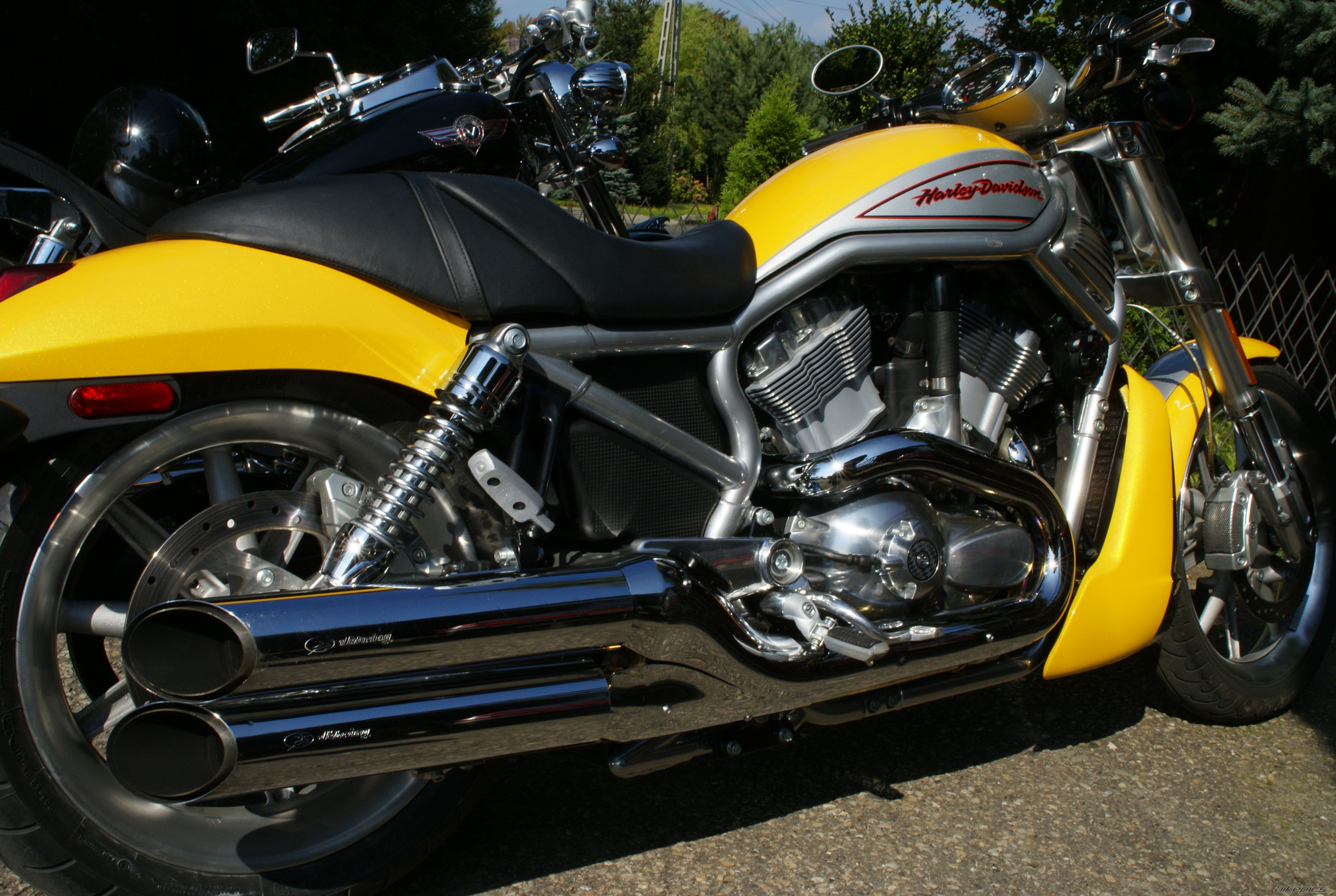 2005 HARLEY DAVIDSON VRSCR STREET ROD | Picture 1149492 motorcycle photo