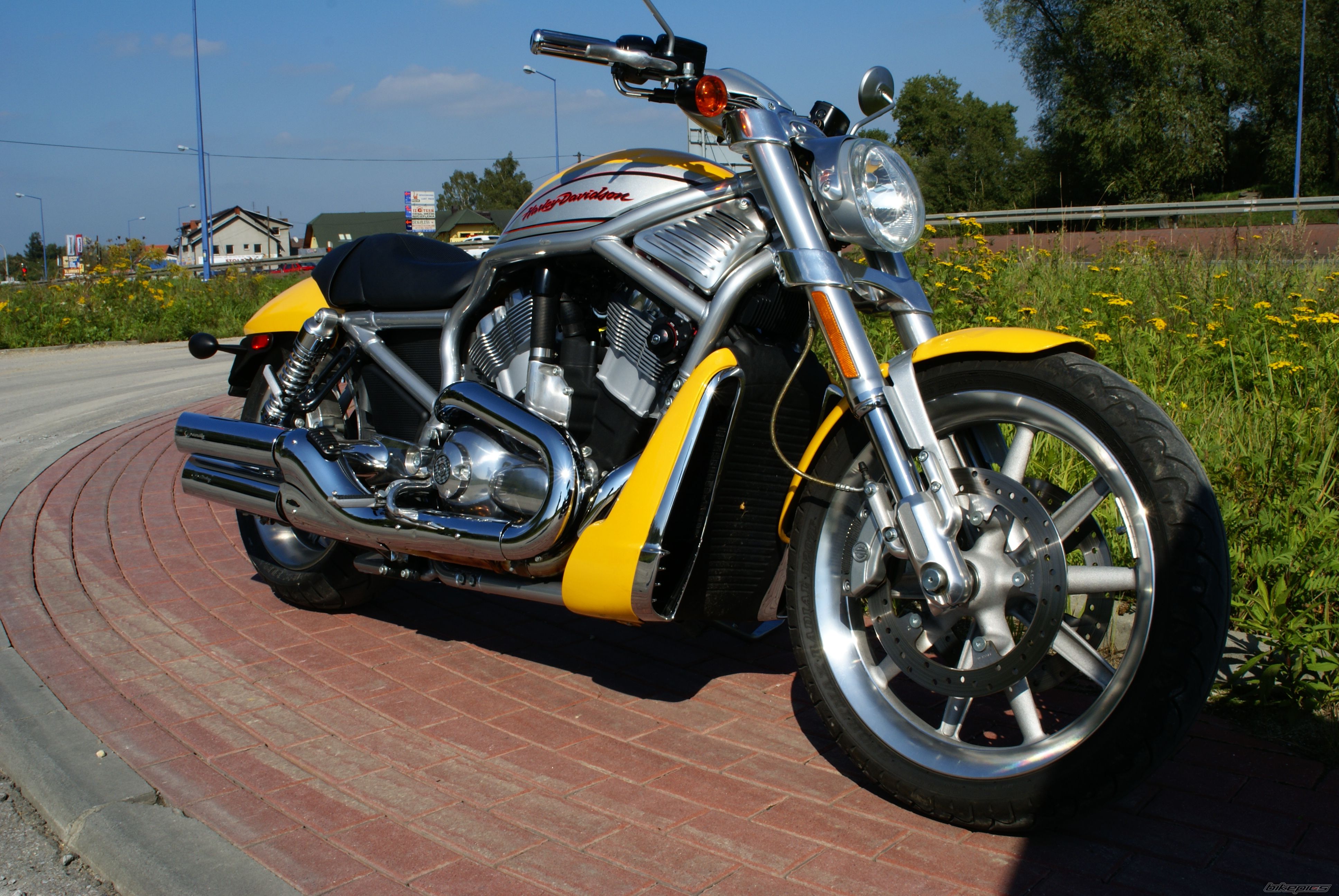 2005 HARLEY DAVIDSON VRSCR STREET ROD | Picture 1149499 motorcycle photo