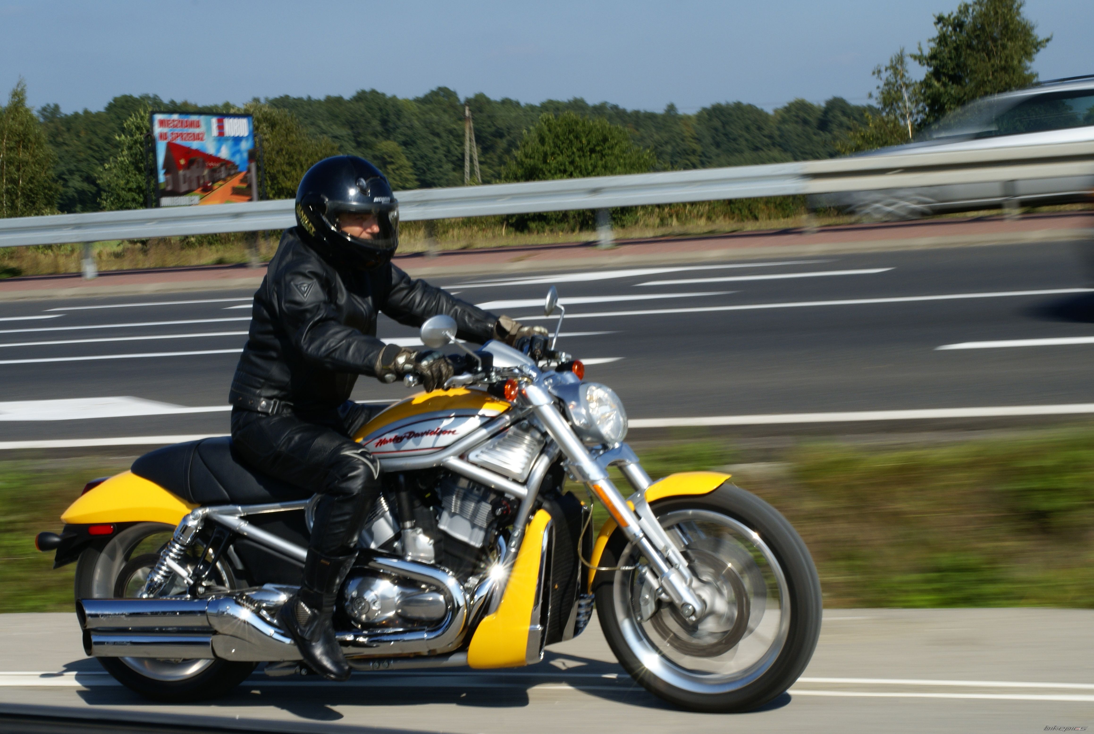 2005 HARLEY DAVIDSON VRSCR STREET ROD | Picture 1149534 motorcycle photo