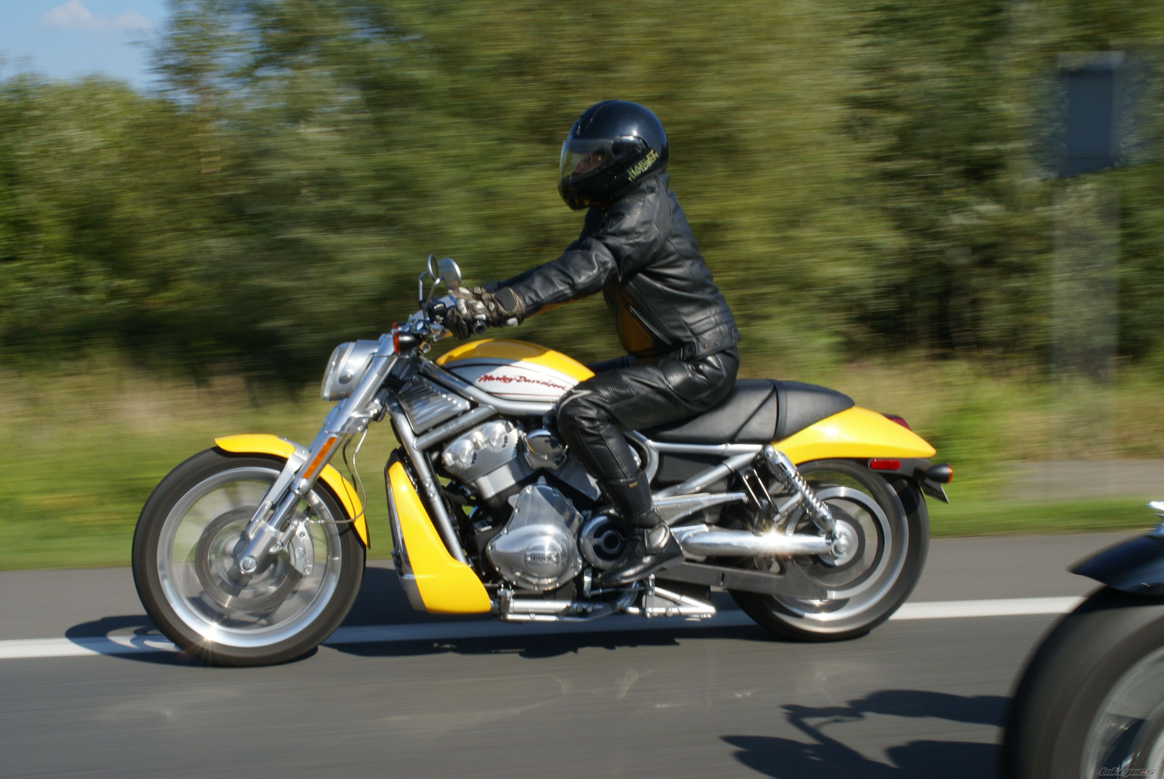 2005 HARLEY DAVIDSON VRSCR STREET ROD | Picture 1149590 motorcycle photo