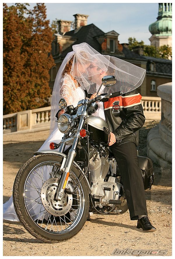 2003 HARLEY DAVIDSON XL 1200 C | Picture 1149656 motorcycle photo
