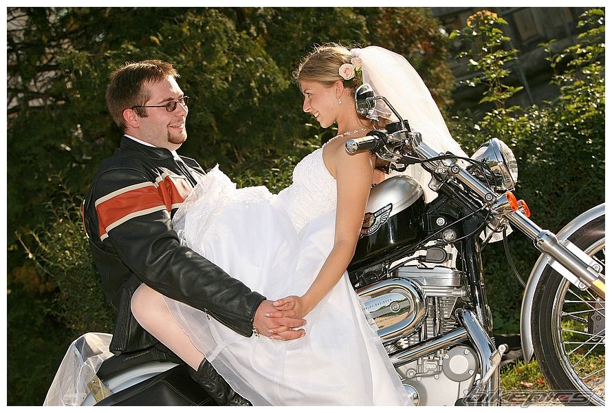 2003 HARLEY DAVIDSON XL 1200 C | Picture 1149657 motorcycle photo