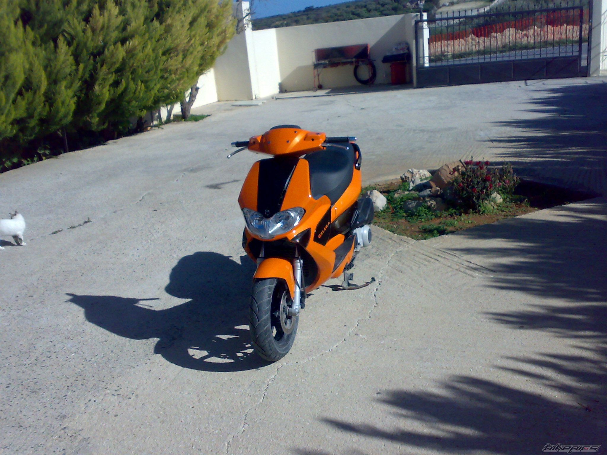 2008 GILERA RUNNER 125 VX | Picture 1149762 motorcycle photo