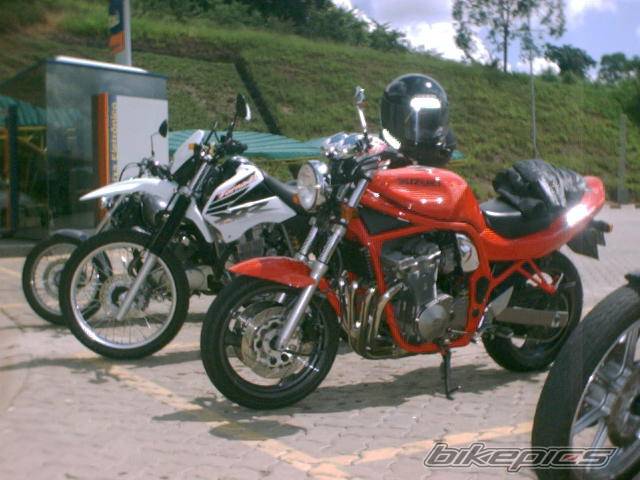 2003 HONDA XR 250 | Picture 114980 motorcycle photo