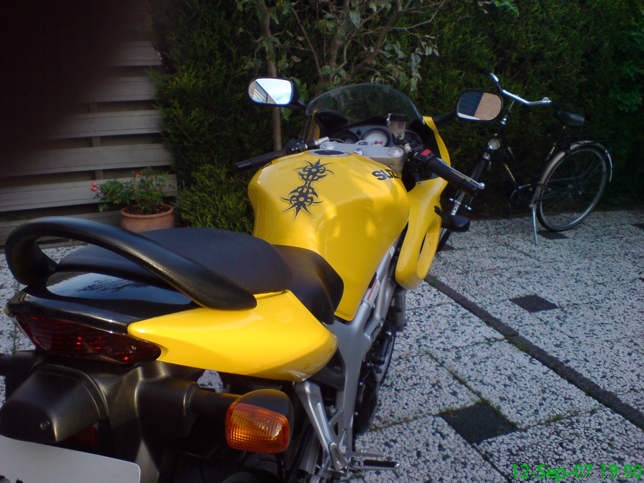 2001 SUZUKI SV 650S | Picture 1150060 motorcycle photo
