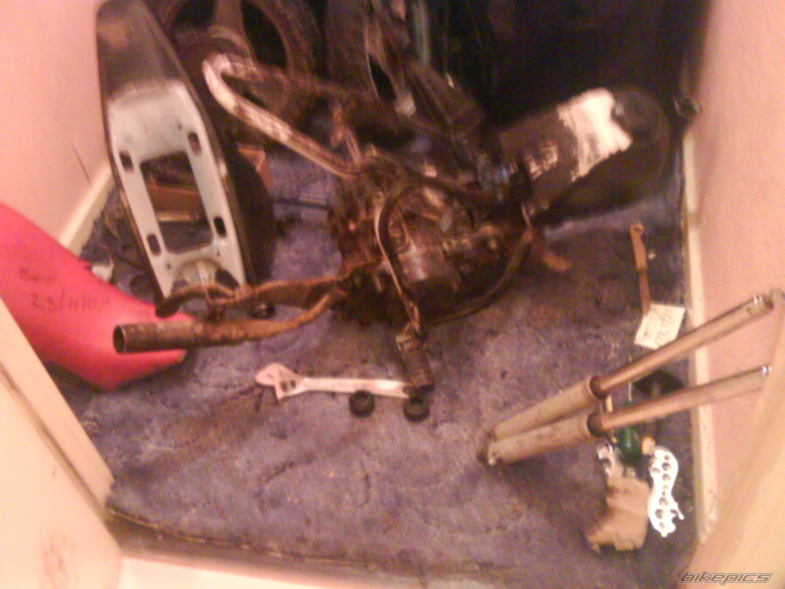 1989 YAMAHA PW 50 | Picture 1150061 motorcycle photo