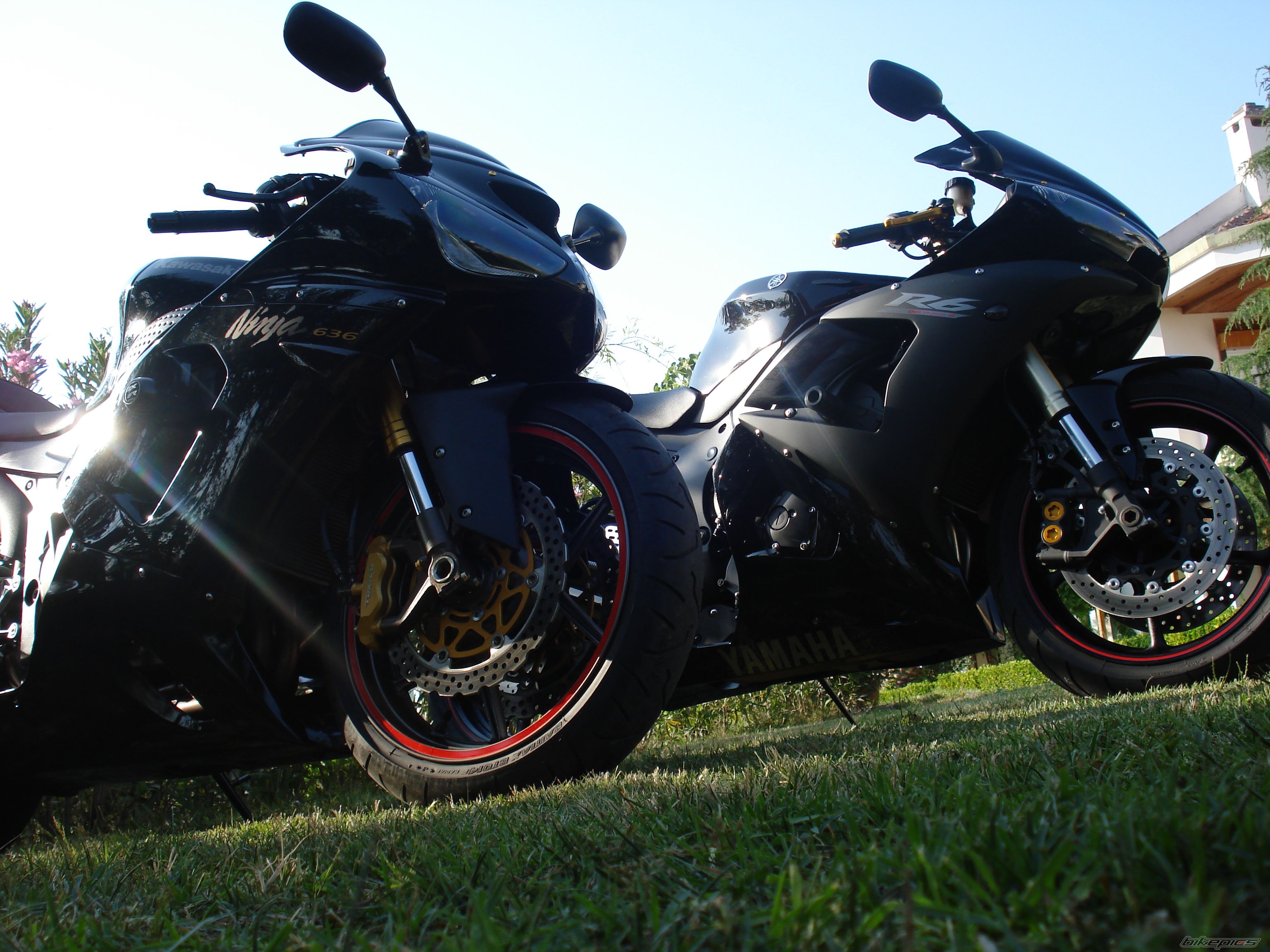 2006 YAMAHA YZF R6 | Picture 1150468 motorcycle photo