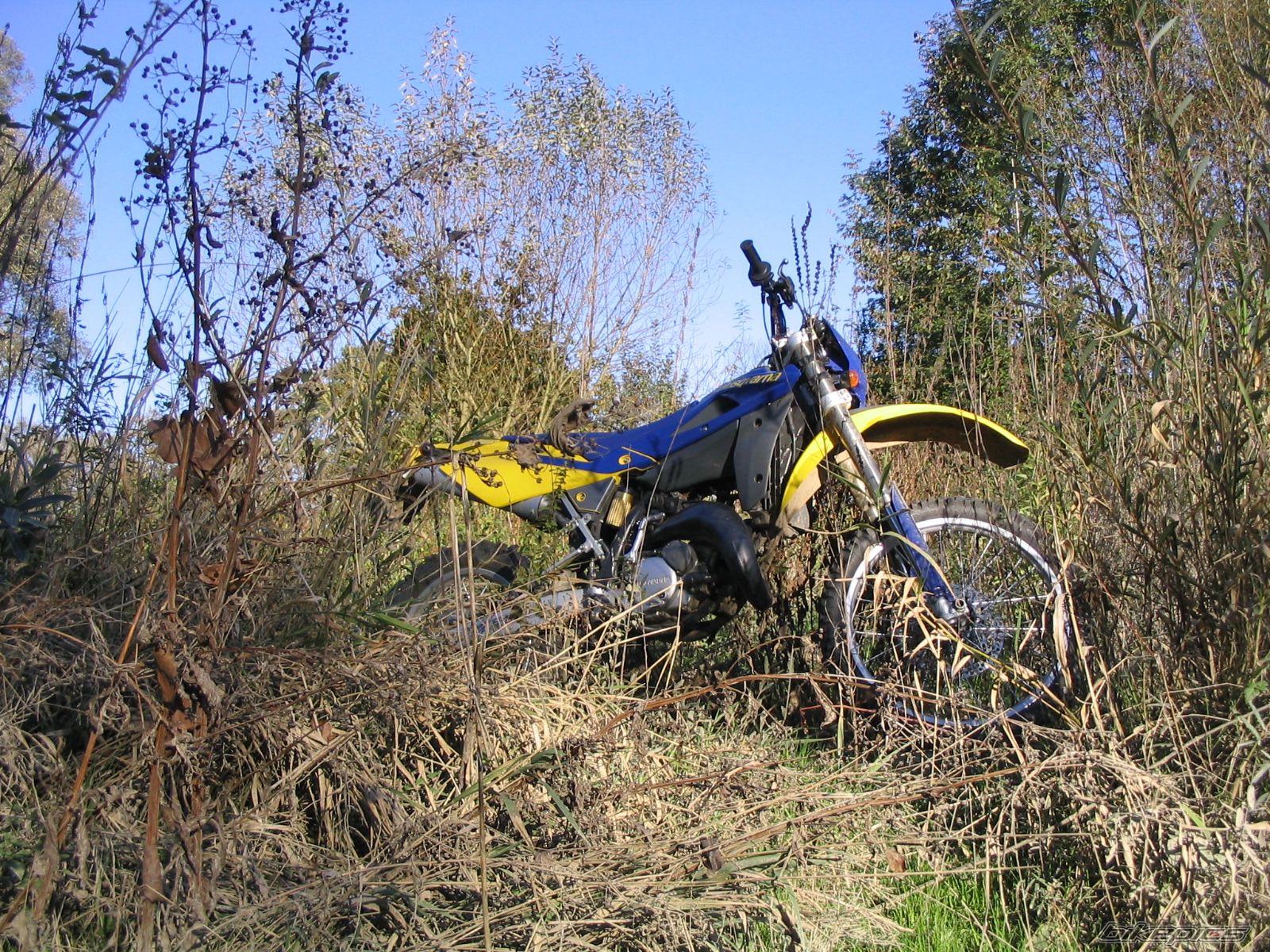 2006 HUSQVARNA WRE 125 | Picture 1151229 motorcycle photo