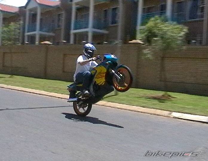 2001 HONDA LS 125 | Picture 115136 motorcycle photo