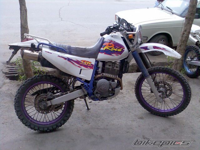 1994 YAMAHA TTR 250 | Picture 1151419 motorcycle photo