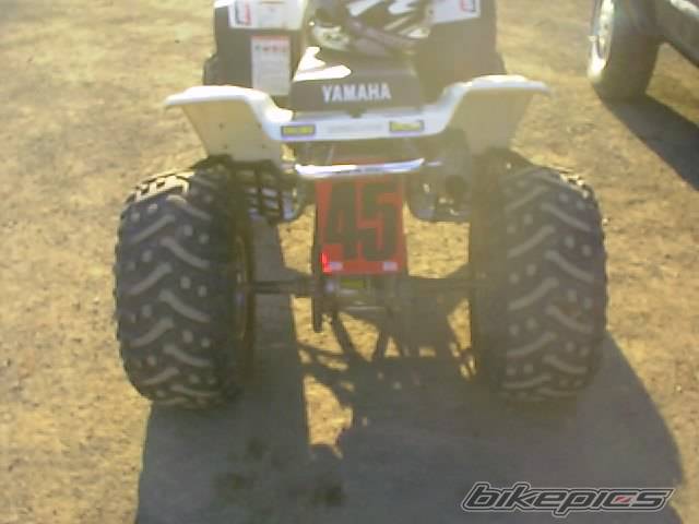 2000 YAMAHA WARRIOR | Picture 115213 motorcycle photo