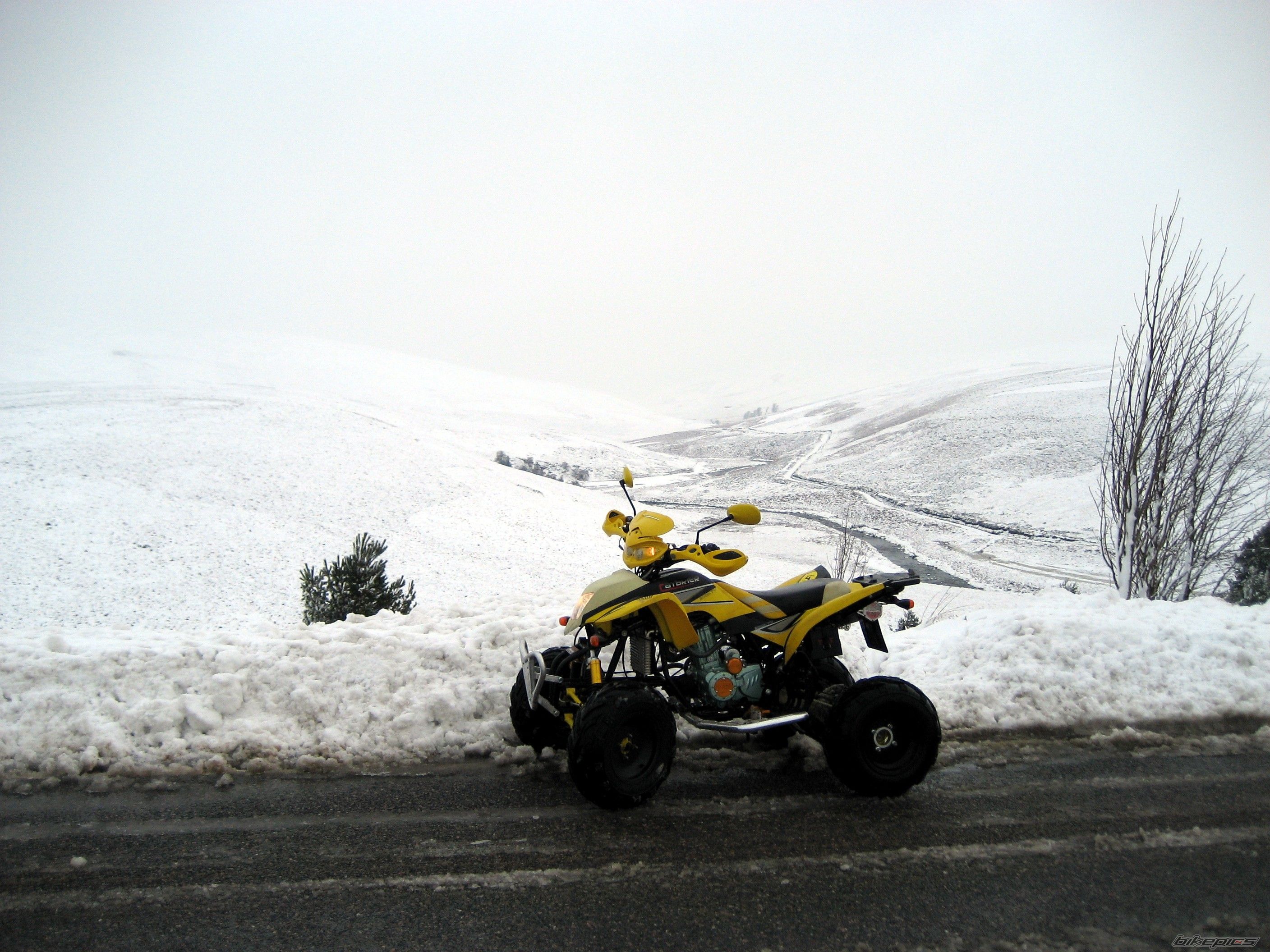 2007 BASHAN BS 200 | Picture 1152286 motorcycle photo