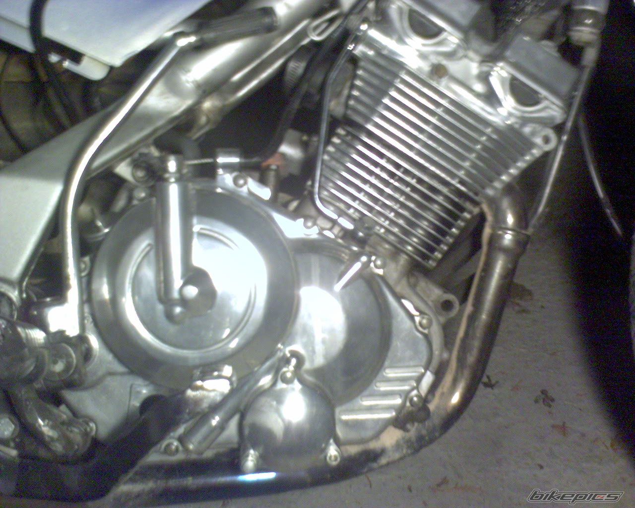 2007 SUZUKI FX 125 | Picture 1152448 motorcycle photo