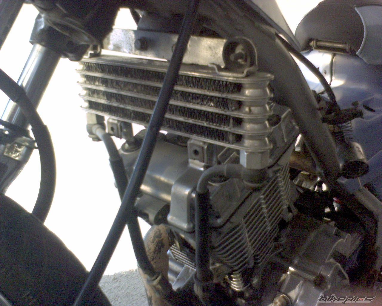 2007 SUZUKI FX 125 | Picture 1152454 motorcycle photo