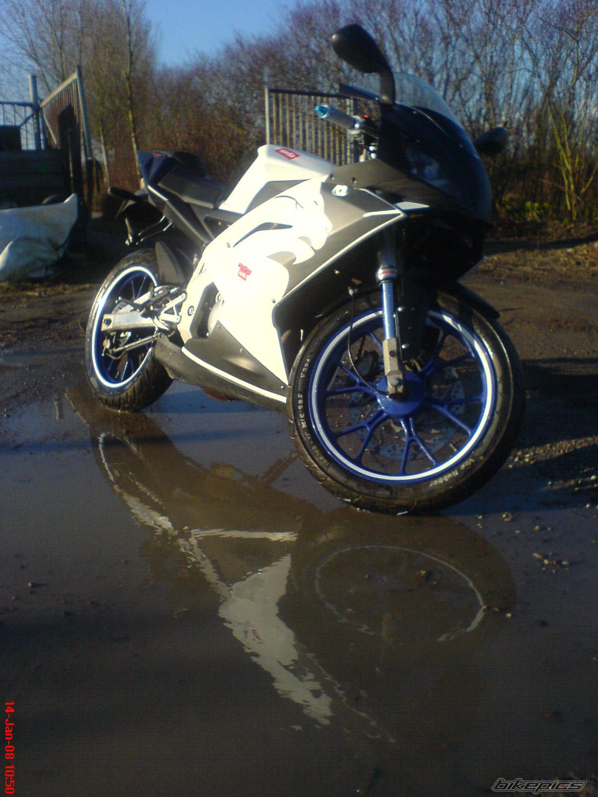 2007 APRILIA RS 50 | Picture 1152598 motorcycle photo