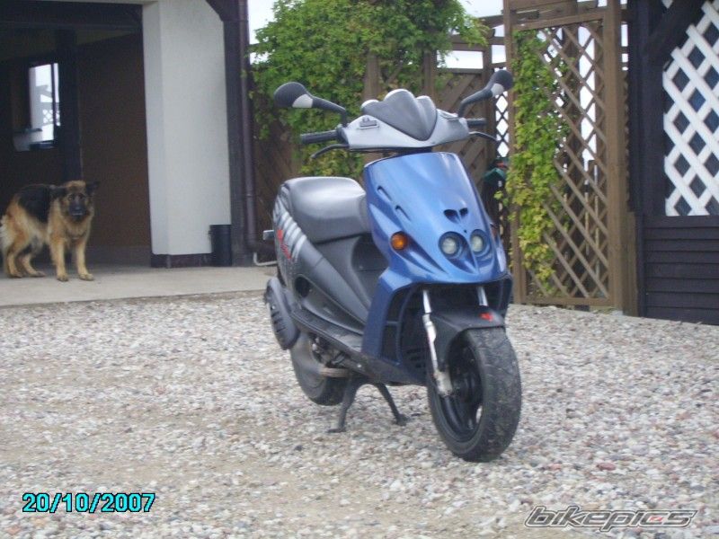 2003 MALAGUTI PHANTOM 50 F12 | Picture 1152621 motorcycle photo