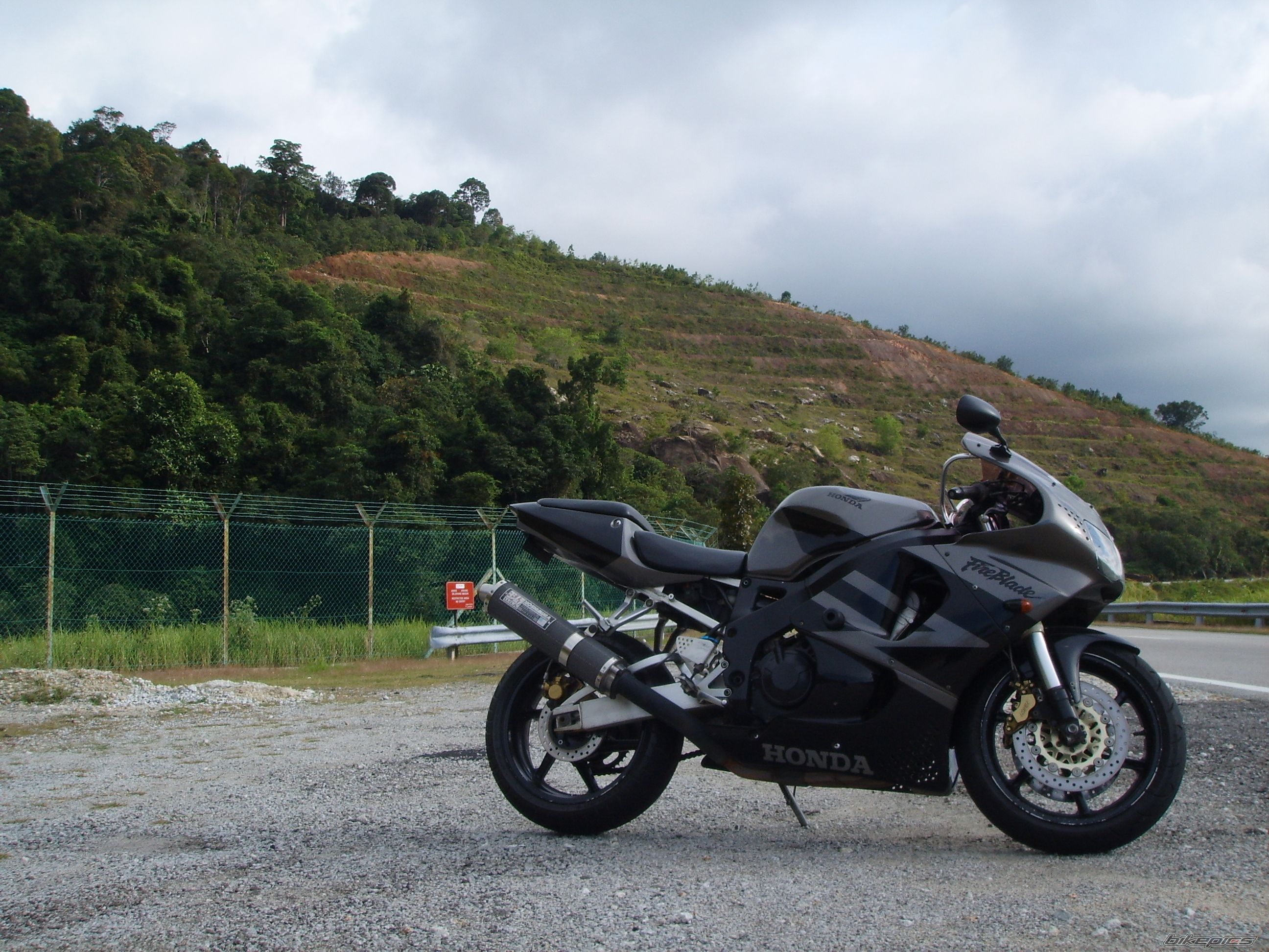 1995 HONDA CBR 900 | Picture 1152784 motorcycle photo