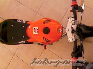 2007 POLINI BLATA MINI MOTO RACE REPLICA | Picture 1153014 motorcycle photo
