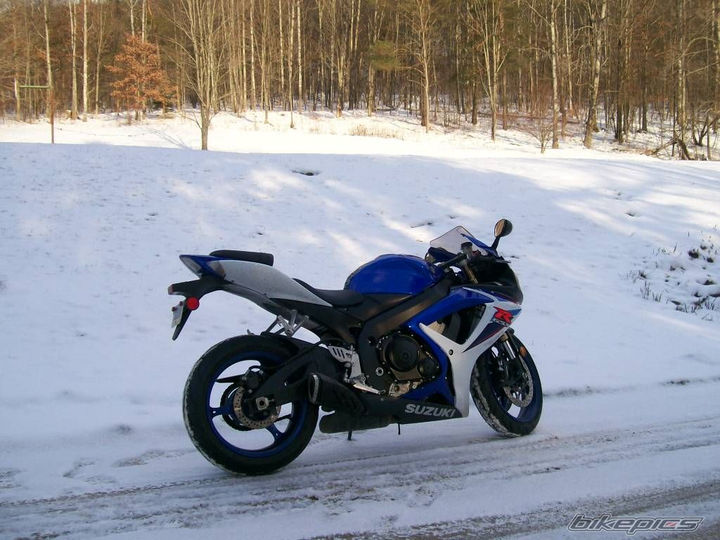 2007 SUZUKI GSX R 600 | Picture 1153235 motorcycle photo
