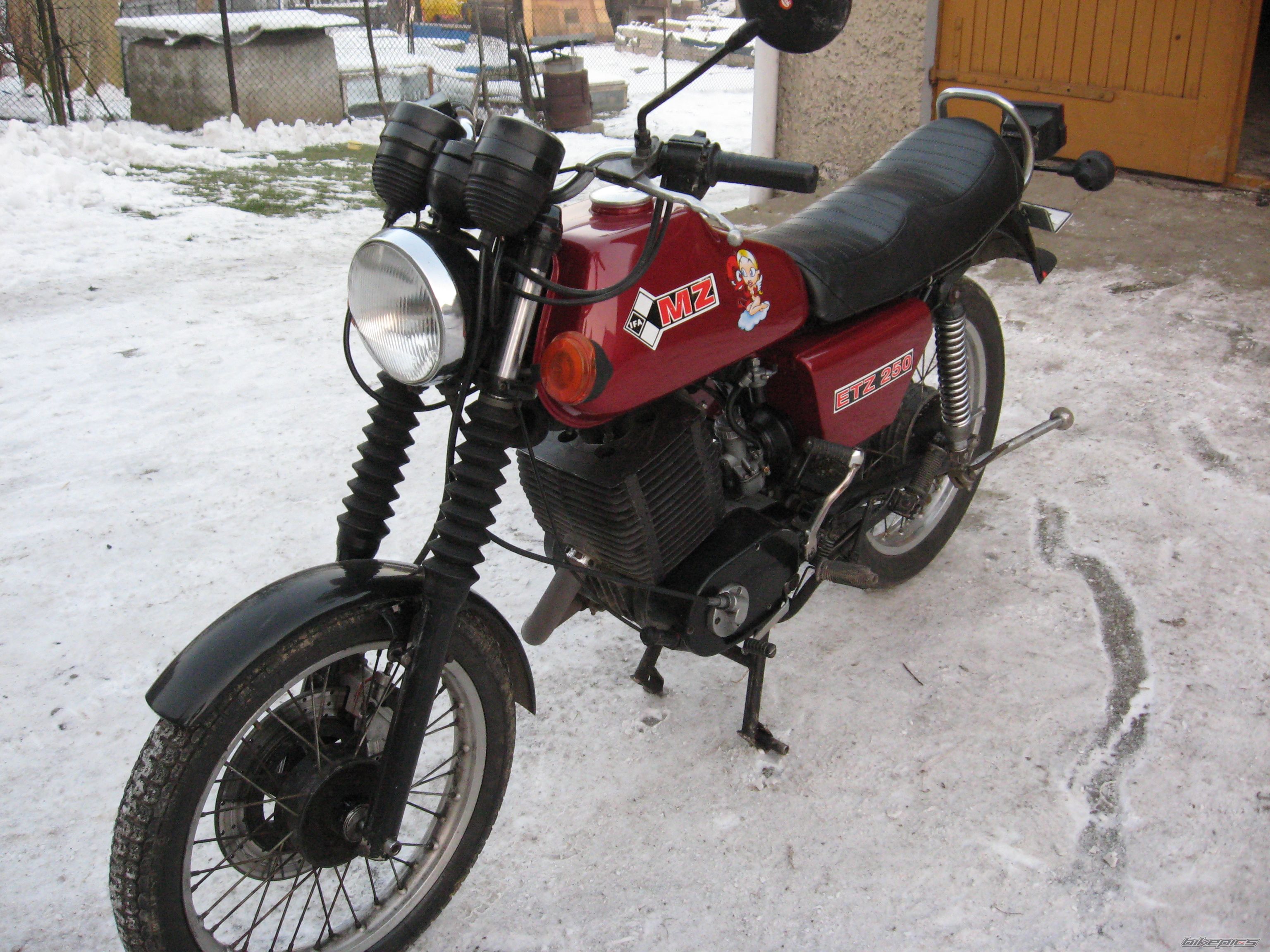 1983 MZ ETZ 250 | Picture 1153800 motorcycle photo