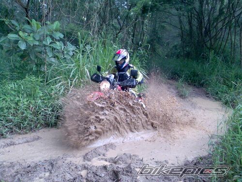 2002 HONDA XR 650 | Picture 1153929 motorcycle photo
