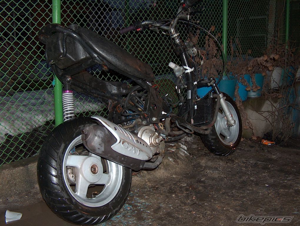 1998 MALAGUTI FIREFOX 50 F15 | Picture 1154165 motorcycle photo