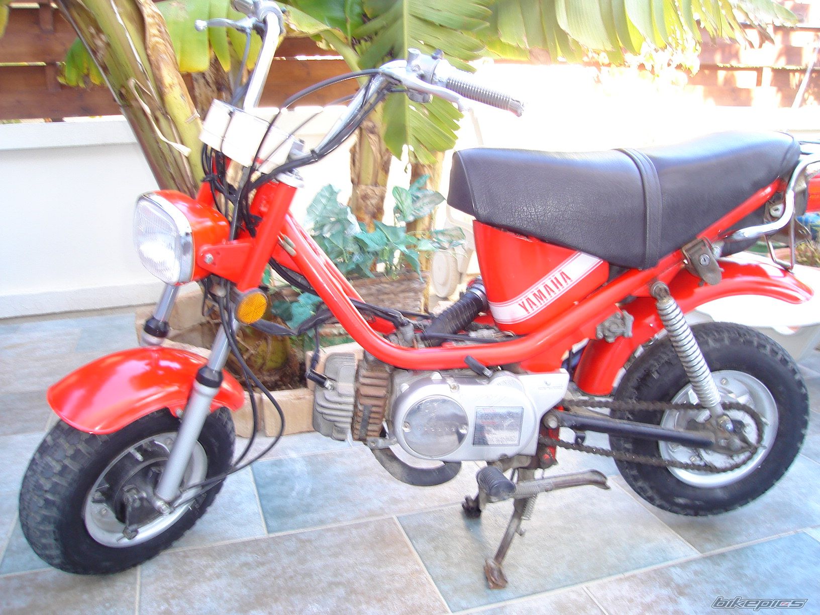 2008 YAMAHA CHAPY | Picture 1154190 motorcycle photo